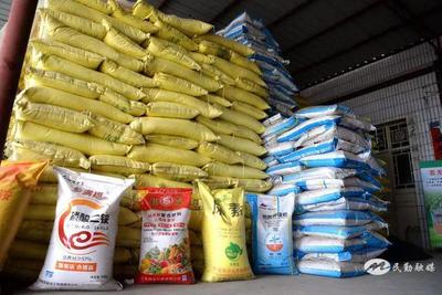 民勤县西渠镇 农资储备足 春耕有保障 化肥销售服务暖民心